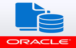 Oracle数据库管理工具有哪些?-北京新利线上平台,新利（中国）公司