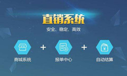 手机直销系统新利线上平台,新利（中国）价格-北京软件外包公司