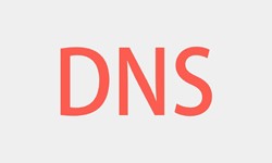 北京新利线上平台,新利（中国）、DNS的基本概念、新利线上平台,新利（中国）新利线上平台,新利（中国）