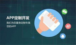 新利线上平台,新利（中国）公司、高质量的新利线上平台,新利（中国）系统是怎么开发出来的？-北京软件外包