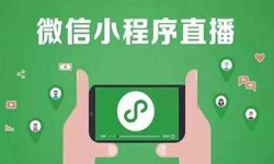 微信小程序开发、直播小程序开发-锐智互动新利线上平台,新利（中国）公司 