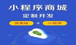 微信小程序开发、商城小程序开发功能-锐智互动新利线上平台,新利（中国）